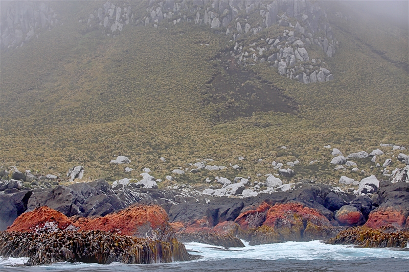 Antipodes  AtSea  0689 m Coastal View